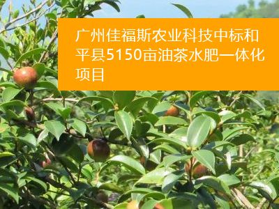 廣州佳福斯農(nóng)業(yè)科技中標(biāo)和平縣5150畝 油茶水肥一體化項(xiàng)目